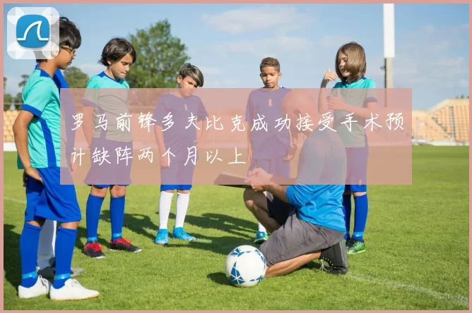 罗马前锋多夫比克成功接受手术预计缺阵两个月以上