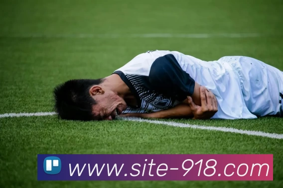 博天堂APP 封面图